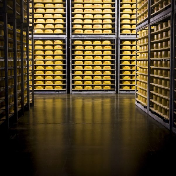 Västerbottensost ostlager